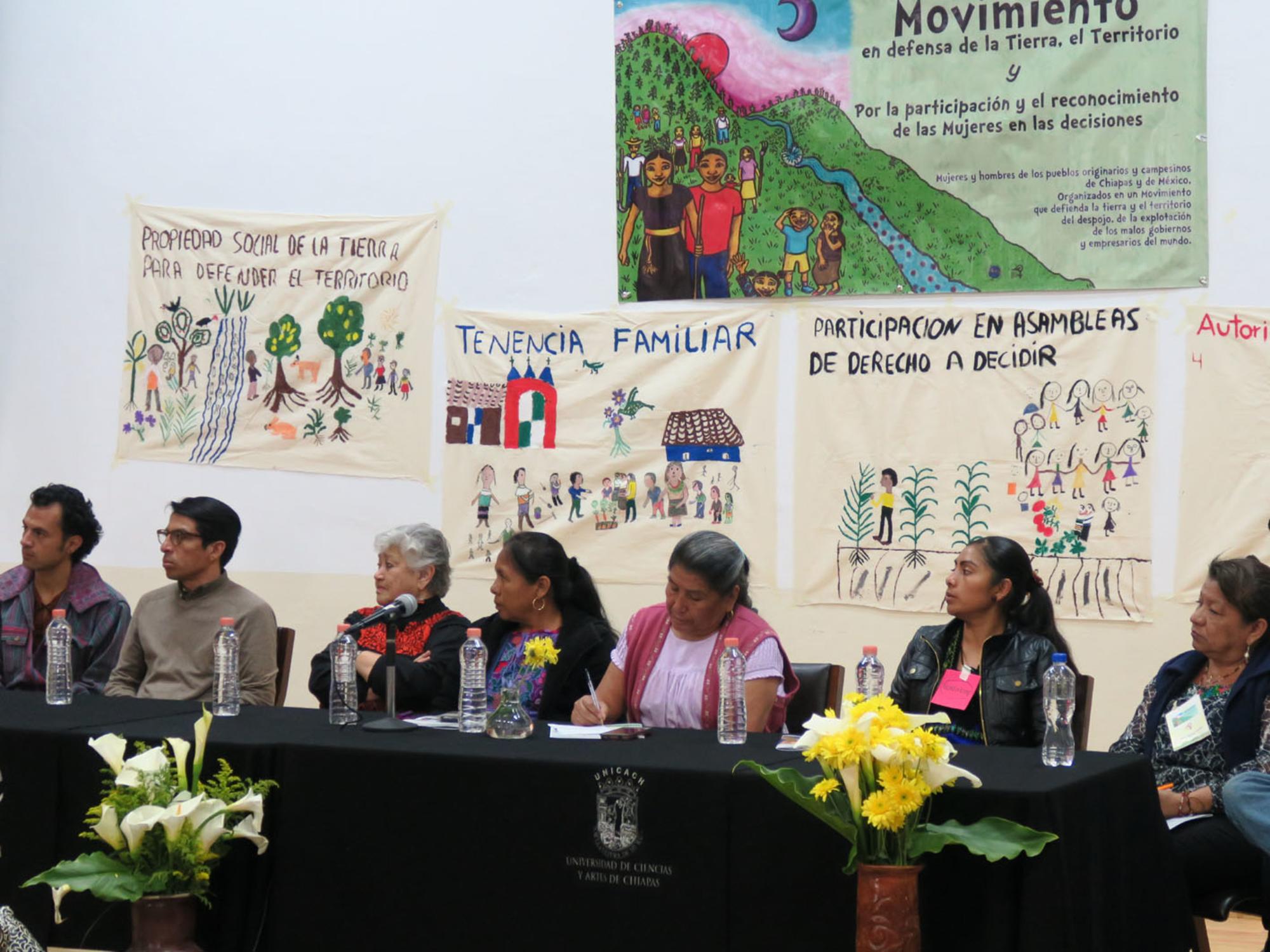 CIG y organizaciones feministas y de mujeres. México.